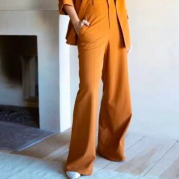 DANIELLE BERNSTEIN Pants - Danielle Bernstein Wide Leg Orange Pinstripe Pants NWT